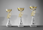 Pokal ohne Deckel
